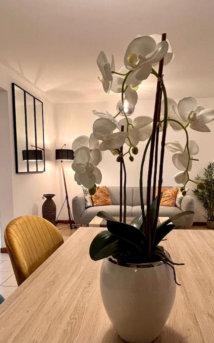 Chez Gerard Apartment Saint Pierre Ngoại thất bức ảnh
