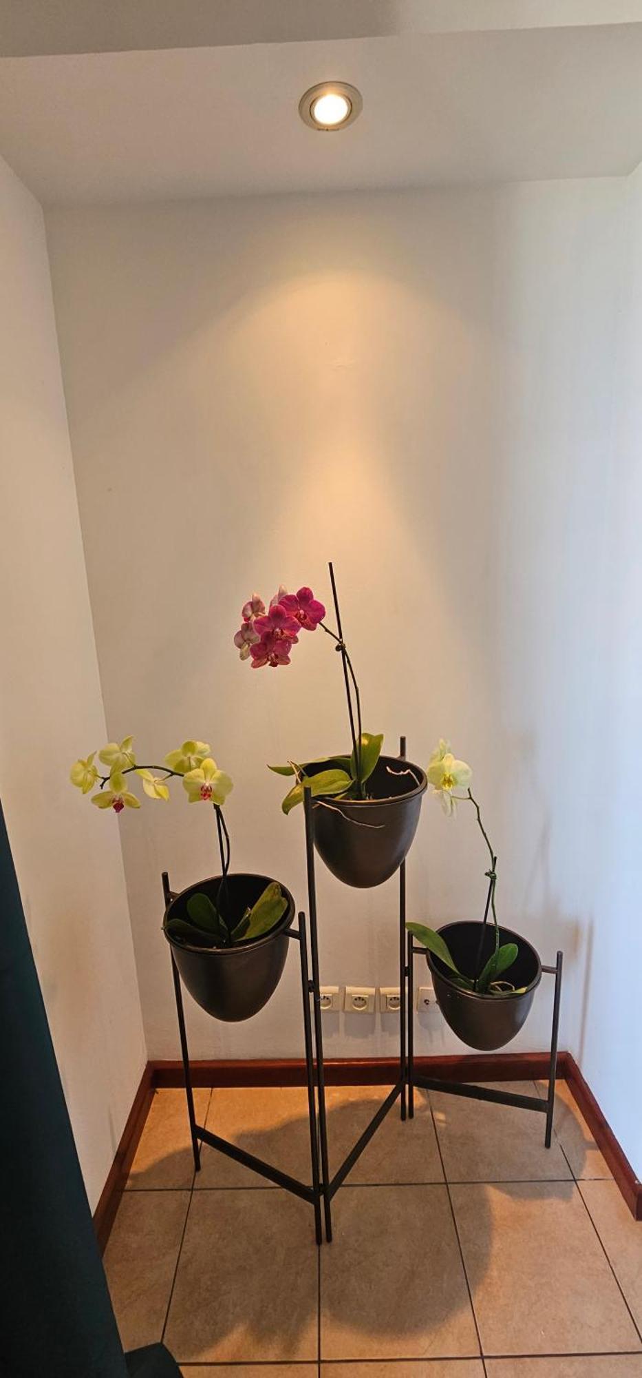 Chez Gerard Apartment Saint Pierre Ngoại thất bức ảnh